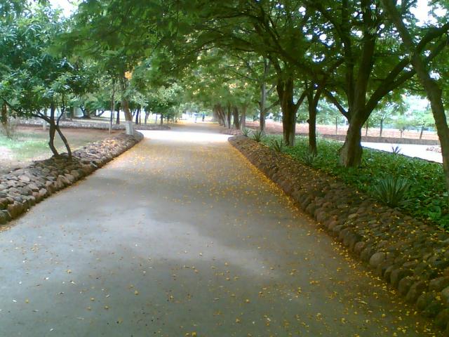 The KIMS college