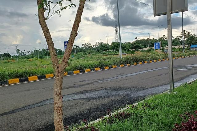 Aiims kalyani campus