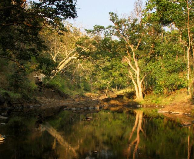 Melghat lake (Amravati, where the college is located)