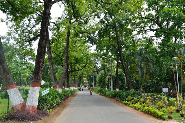 Campus Road - Bengal Engineering and Science University - Sibpur - Howrah 2013-06-08 (Howrah, where the college is located)