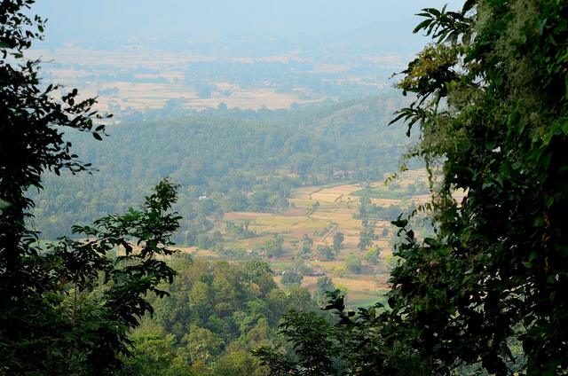Village in Jungle (Jamshedpur, where the college is located)