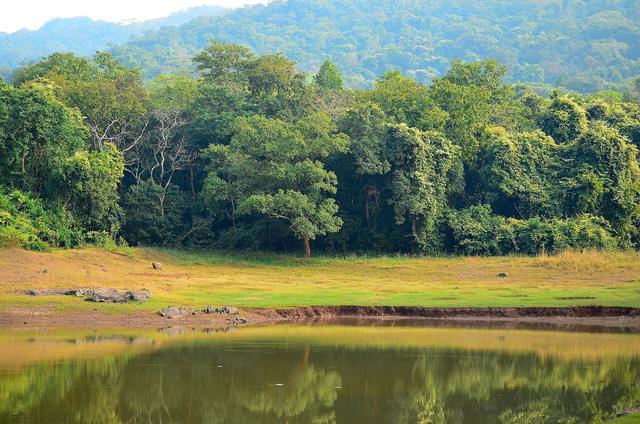 Wild Abode (Jharkhand, where the college is located)