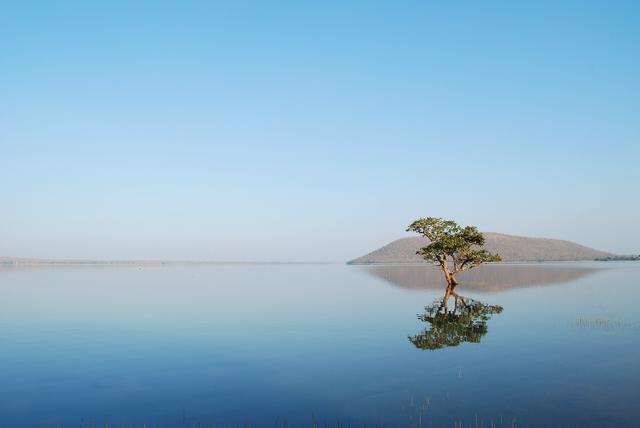 Pakhal Lake Telangana (Narsampet, where the college is located)