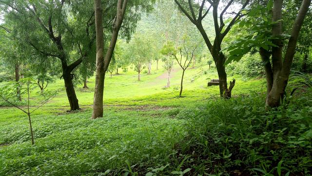 Vajreshwari Temple (Palghar, where the college is located)