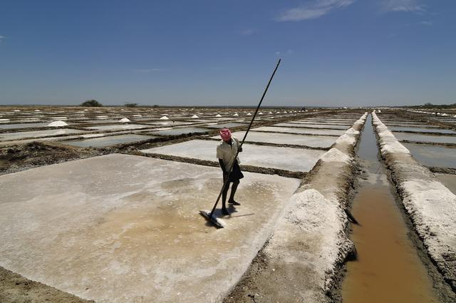 Marakkanam Salt Pans (Thoothukudi, where the college is located)
