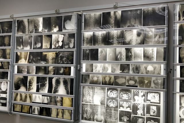 Anatomy museum
